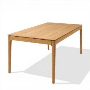 שולחן אוכל אריק